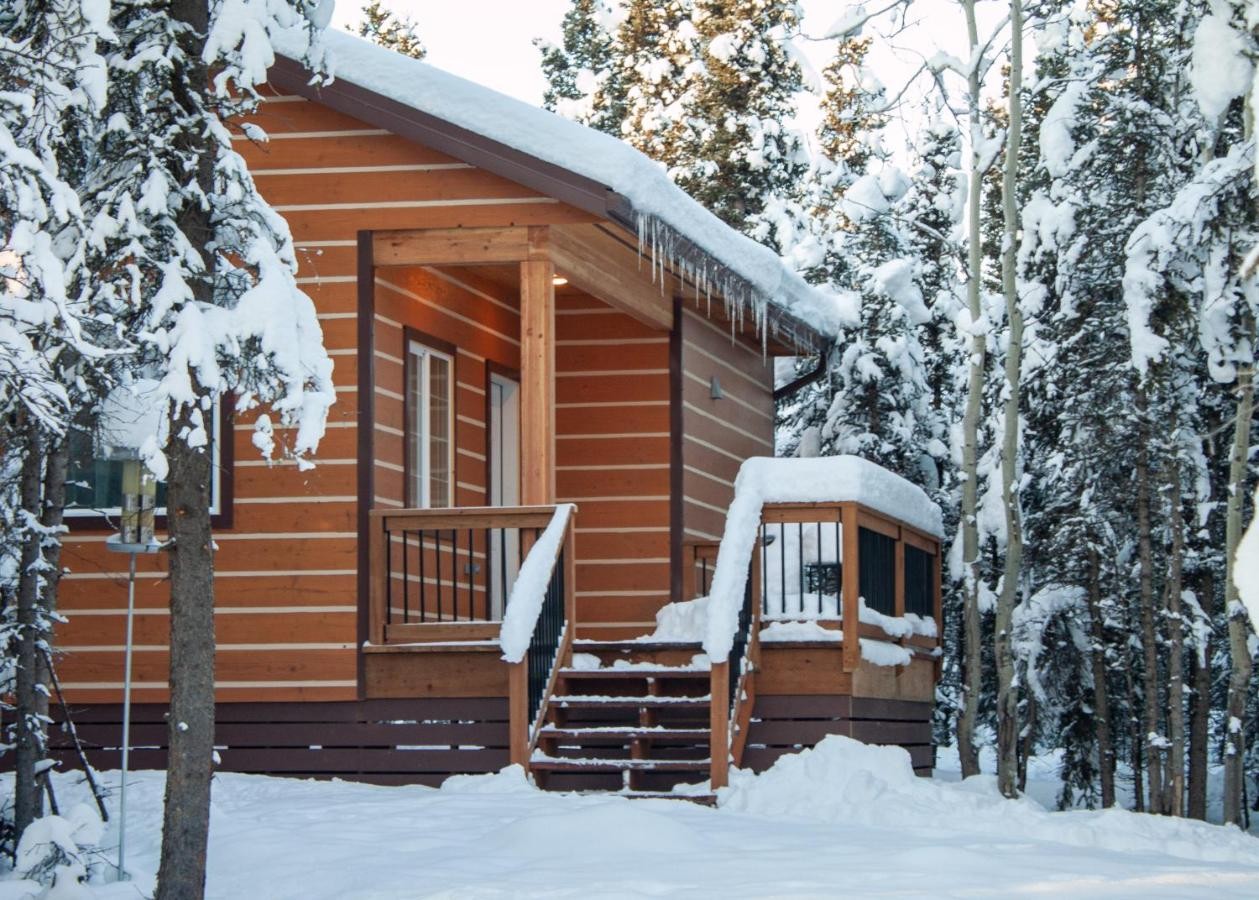 Denali Wild Stay Moose Cabin